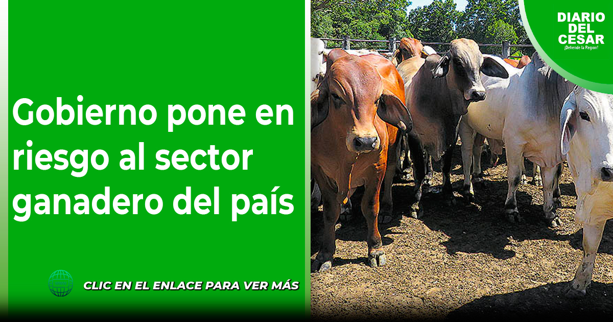 Gobierno pone en riesgo al sector ganadero del país